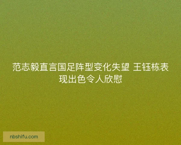 范志毅直言国足阵型变化失望 王钰栋表现出色令人欣慰