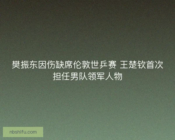 樊振东因伤缺席伦敦世乒赛 王楚钦首次担任男队领军人物